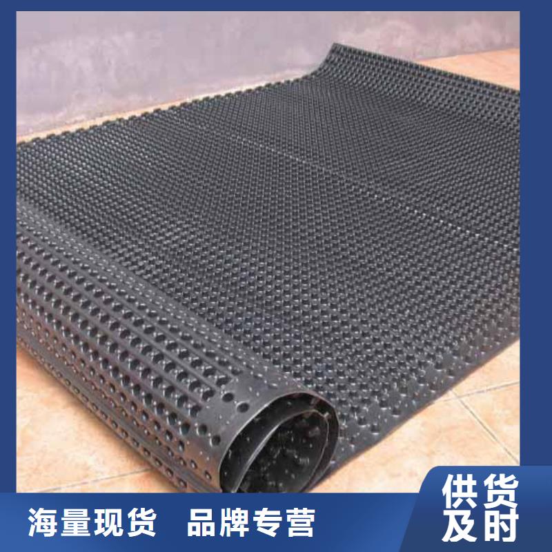 排水板-蓄水板-疏水板-復合防護排水板-凹凸型塑料排水板廠家