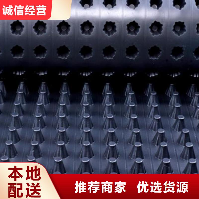 排水板雙向塑料土工格柵準時交付
