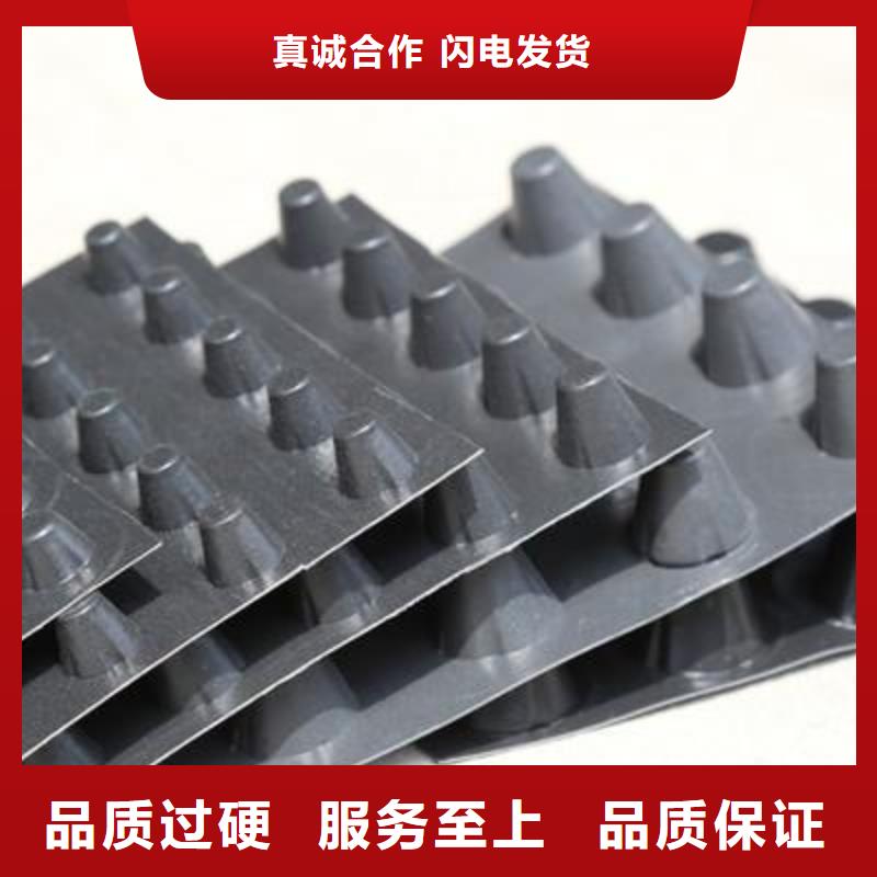 【排水板,PP焊接土工格柵好產品好服務】