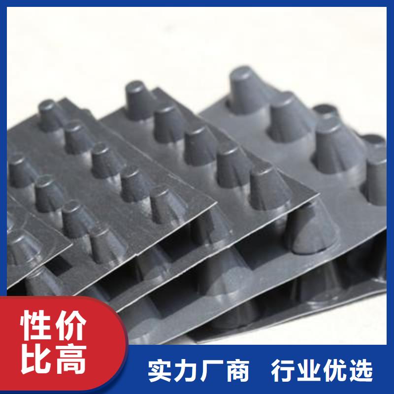 定安縣塑料排水板-植草格-防滲膜-土工膜廠家