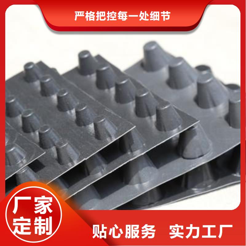 亿路通塑料排水板-蓄排水板生产厂家