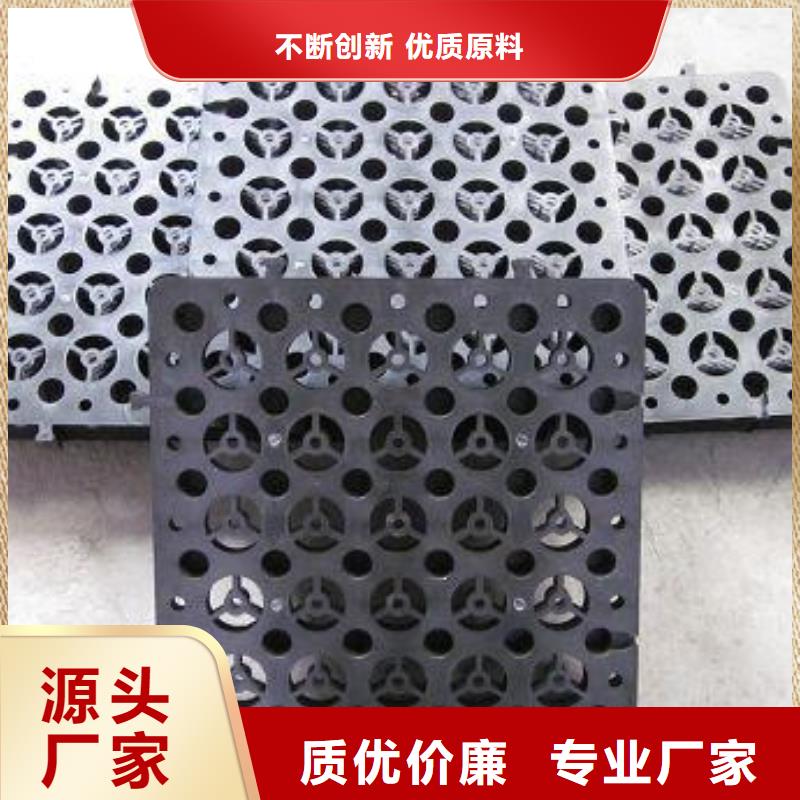 排水板,土工HDPE膜定制銷售售后為一體