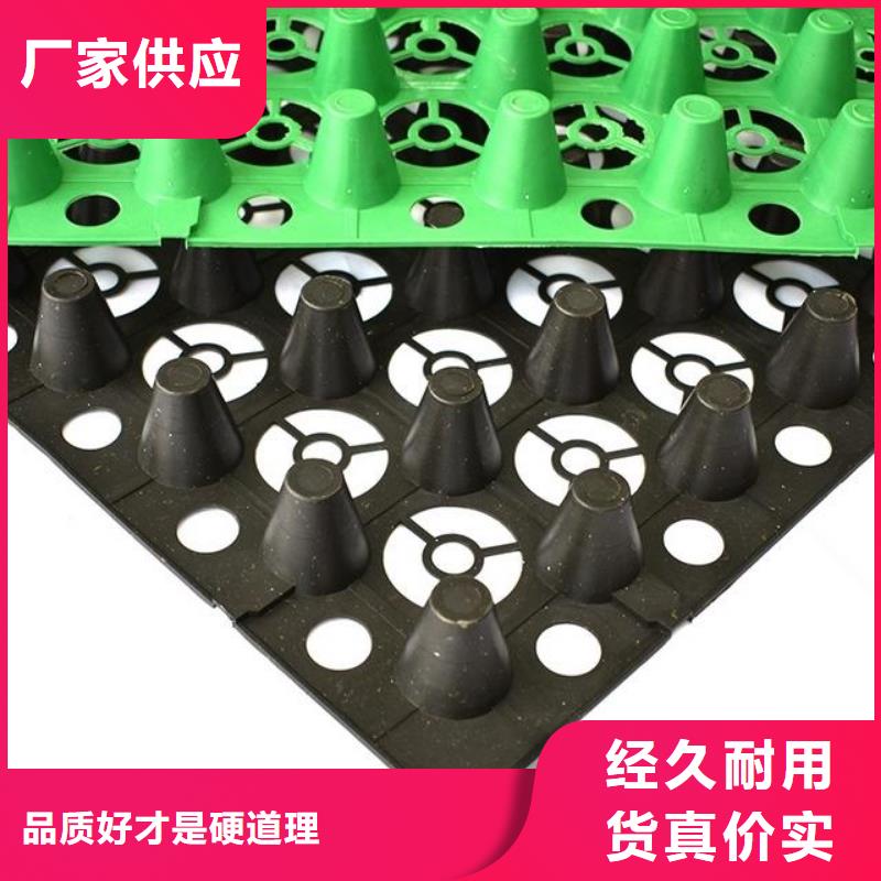 【排水板雙向塑料土工格柵甄選好廠家】
