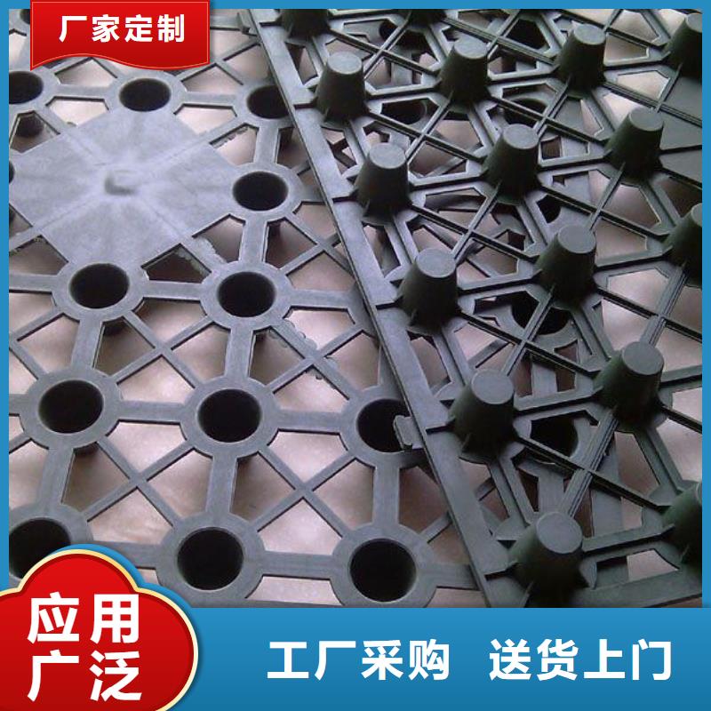 排水板-蓄水板-疏水板-復合防護排水板-凹凸型塑料排水板廠家