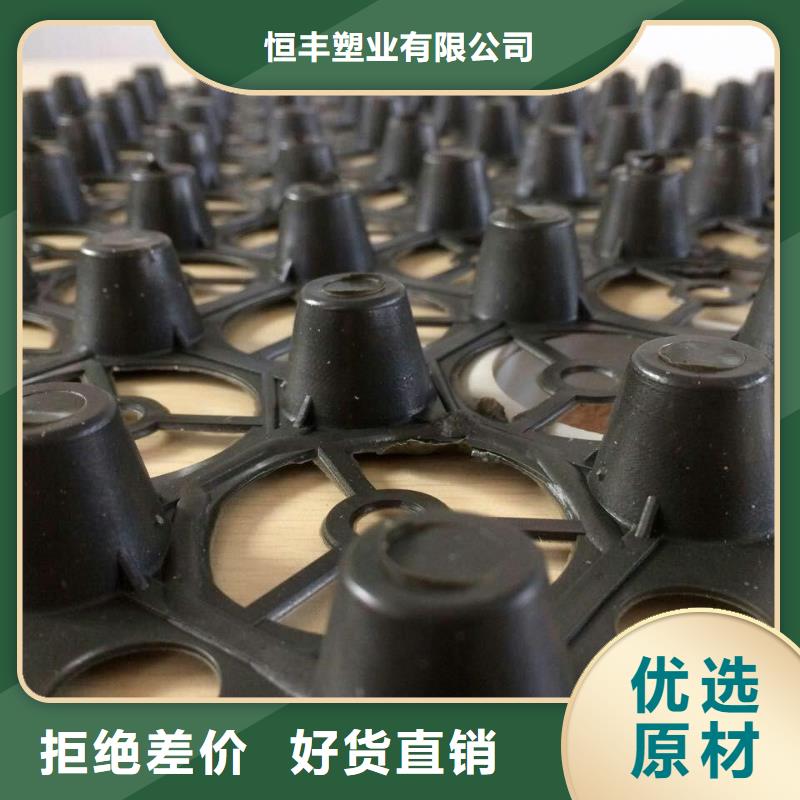 排水板滌綸土工格柵好貨直銷