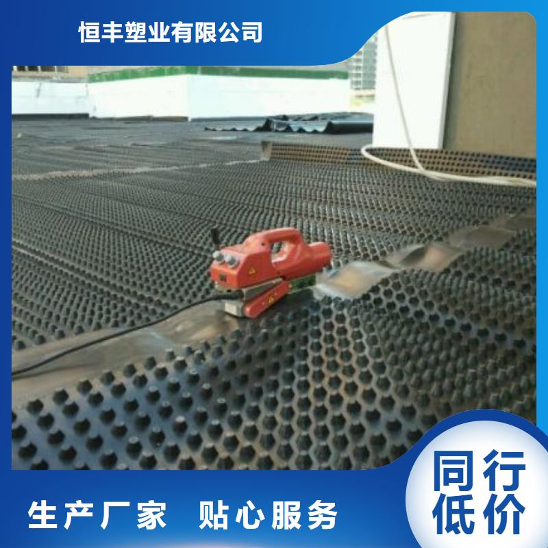排水板滌綸土工格柵好貨直銷