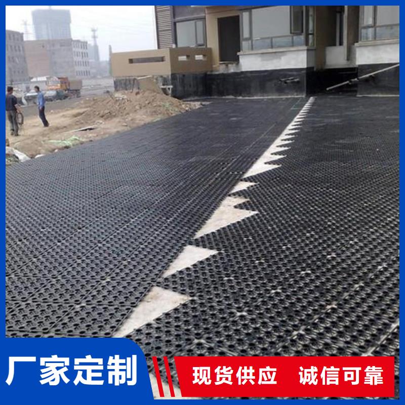 文昌市塑料排水板-蓄排水板-生產廠家億路通