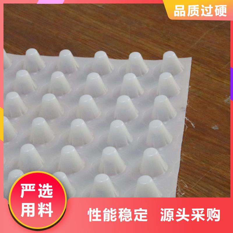 排水板-蓄水板-疏水板-復合防護排水板-凹凸型塑料排水板廠家