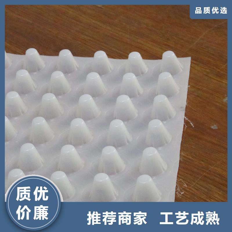 定安縣塑料排水板-植草格-防滲膜-土工膜廠家