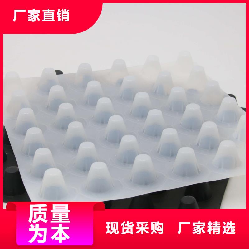 塑料排水板-植草格-防渗膜-土工膜厂家