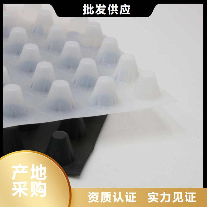 定安縣塑料排水板-植草格-防滲膜-土工膜廠家