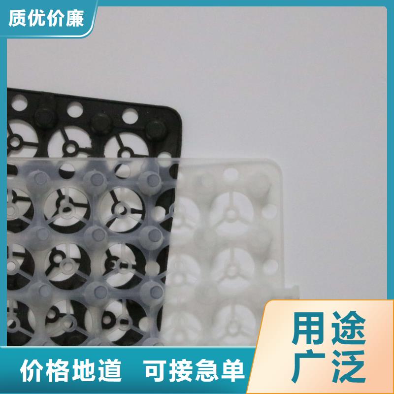 排水板-蓄水板-疏水板-復合防護排水板-凹凸型塑料排水板廠家