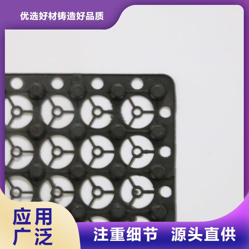 排水板-蓄水板-疏水板-復合防護排水板-凹凸型塑料排水板廠家