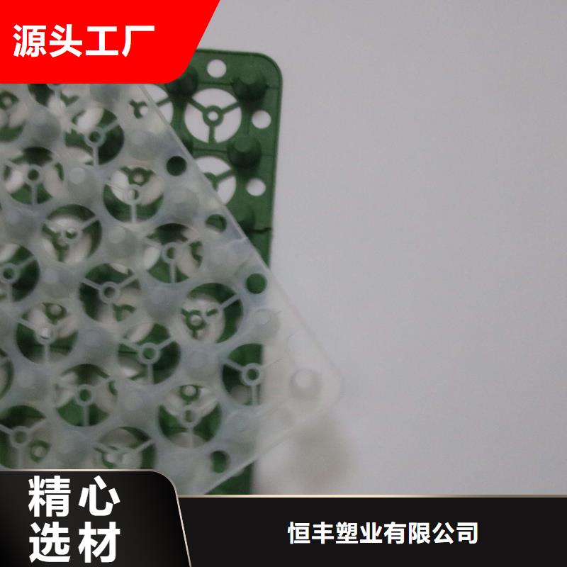 排水板-蓄水板-疏水板-復合防護排水板-凹凸型塑料排水板廠家