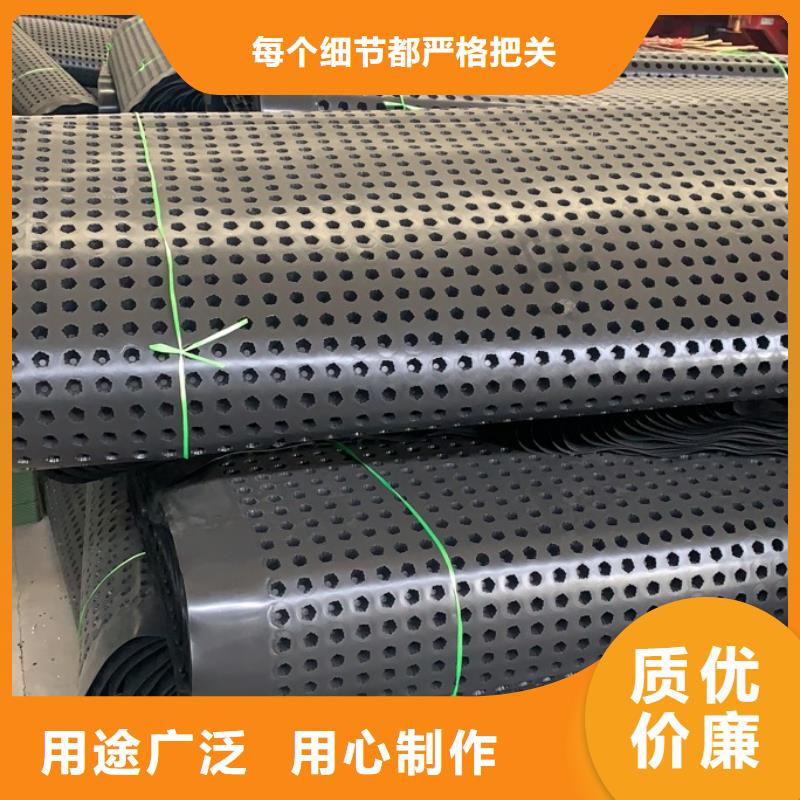 排水板-蓄水板-疏水板-復合防護排水板-凹凸型塑料排水板廠家