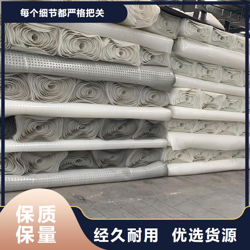 排水板-蓄水板-疏水板-復合防護排水板-凹凸型塑料排水板廠家
