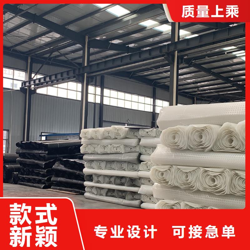排水板-蓄水板-疏水板-復合防護排水板-凹凸型塑料排水板廠家