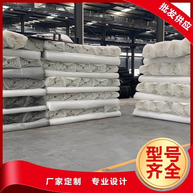 排水板-蓄水板-疏水板-復合防護排水板-凹凸型塑料排水板廠家