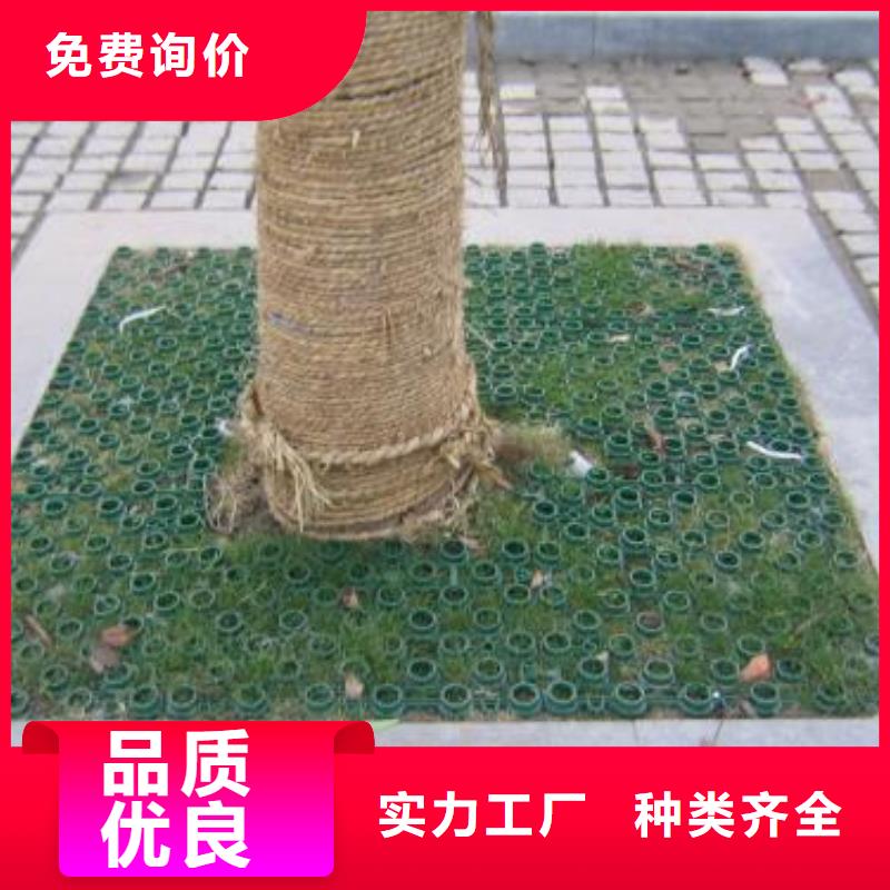 短丝土工布视频-短丝土工布-甘肃省本地生产厂家-白银|陇南|兰州|武威|临夏