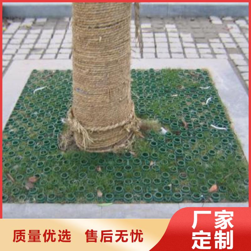 植草格-三維復合排水網服務至上