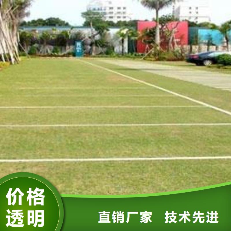 植草格,防渗膜一手价格