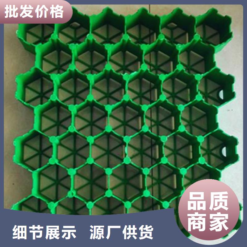 【植草格】土工布專業按需定制