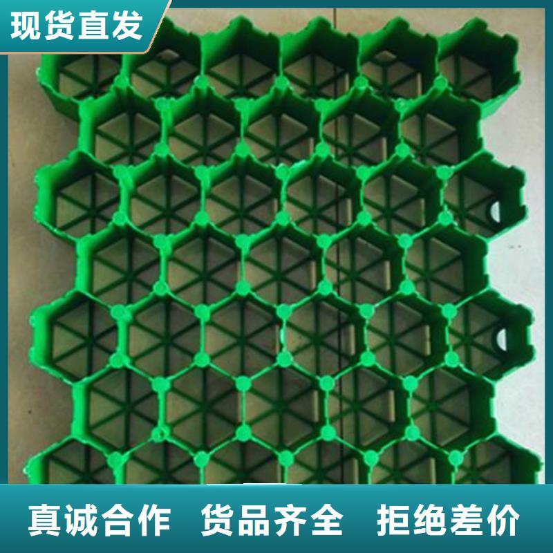 植草格土工濾網庫存充足