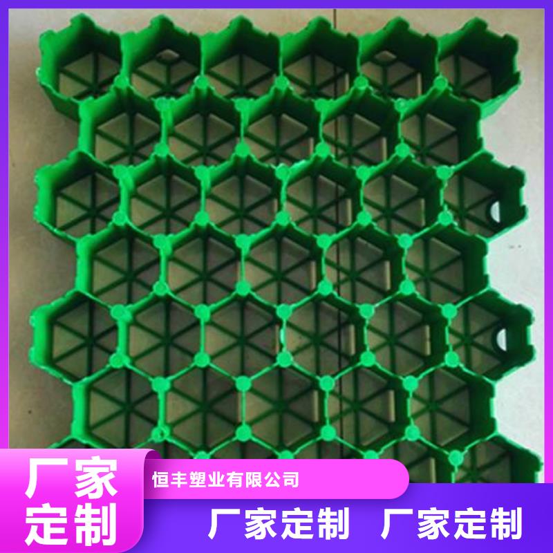 【植草格】_滌綸土工格柵品質無所畏懼