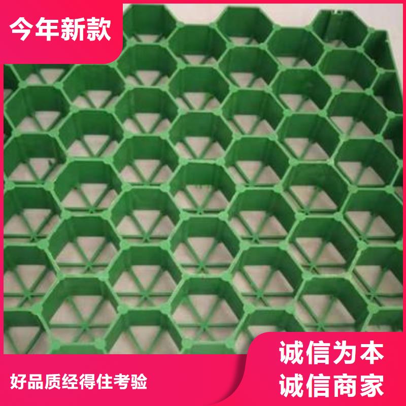 【植草格】_滌綸土工格柵品質無所畏懼