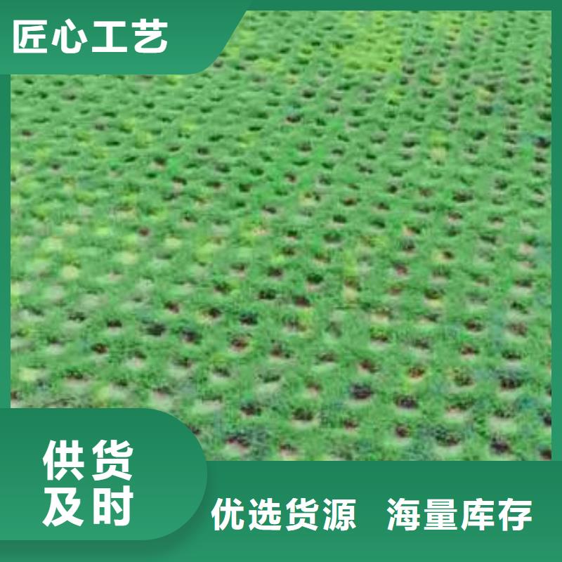 植草格PP焊接土工格栅品质商家