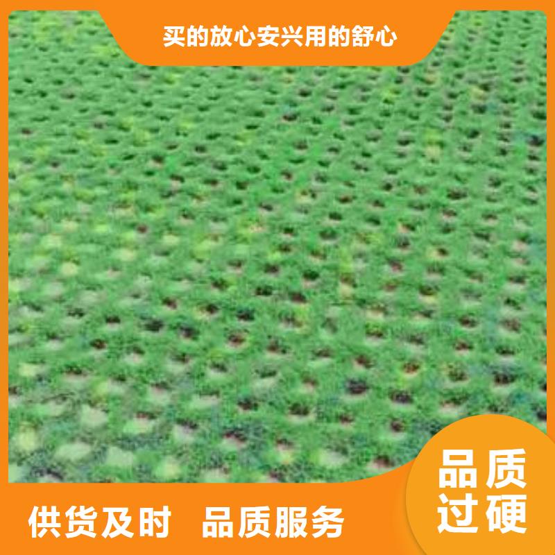 短丝土工布视频-短丝土工布-甘肃省本地生产厂家-白银|陇南|兰州|武威|临夏