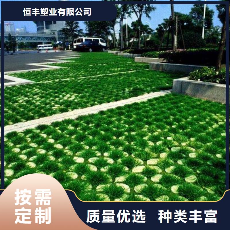 【植草格】膨潤土防水毯質量優價格低