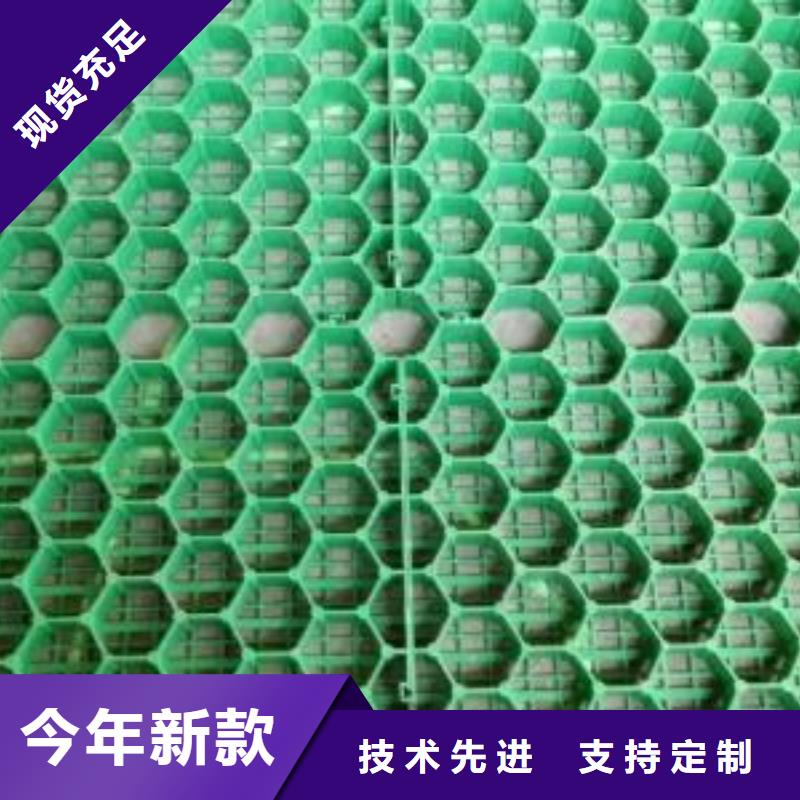 植草格-三維復合排水網服務至上