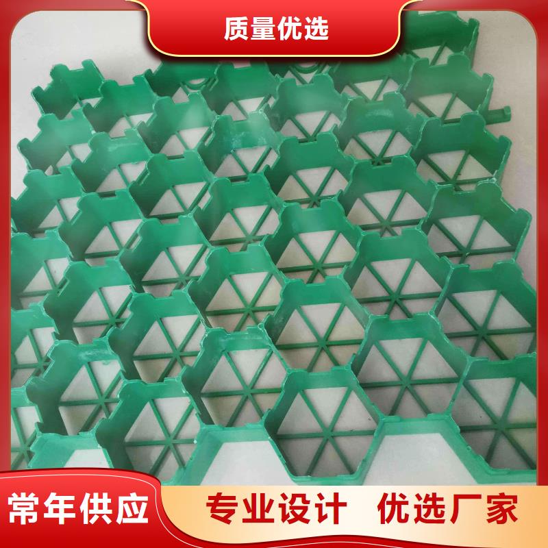 植草格土工濾網庫存充足