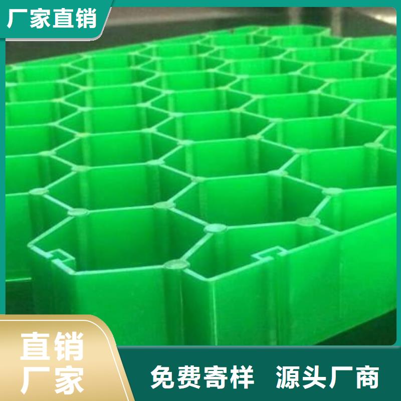 【植草格】土工布專業按需定制