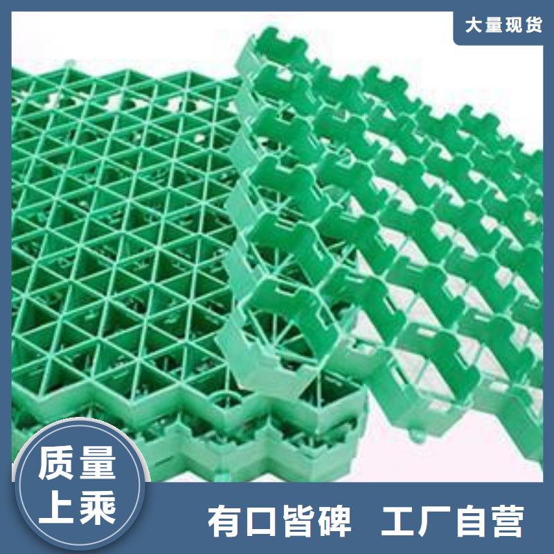 植草格PVC防水卷材通過檢測