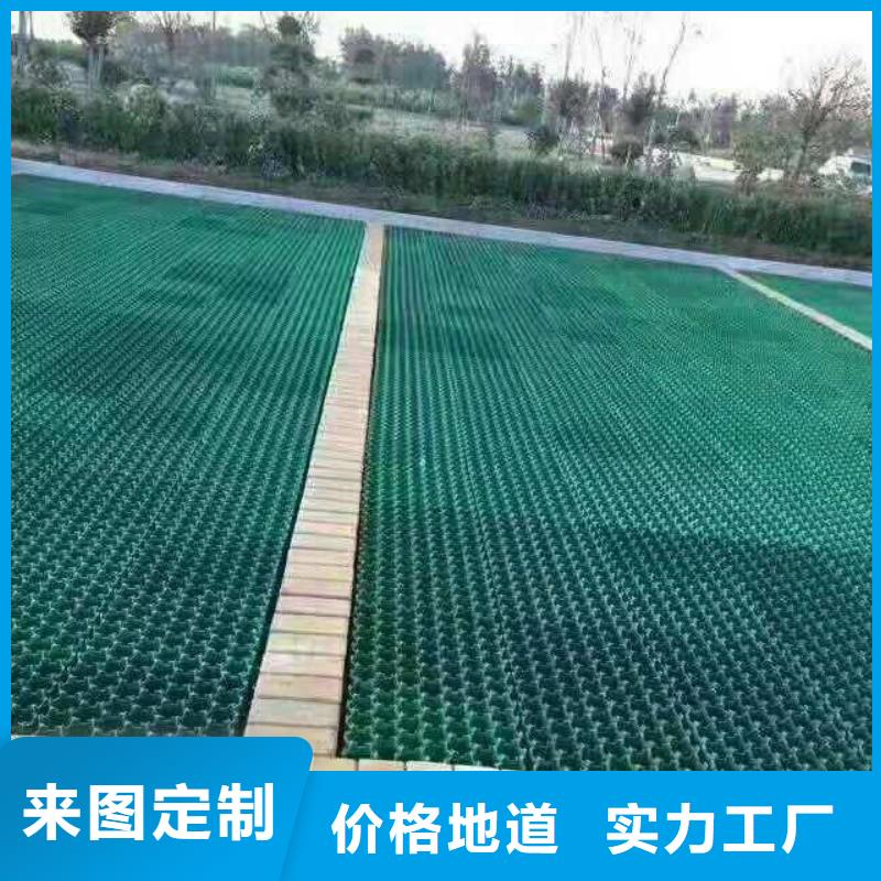 植草格-三維復合排水網服務至上