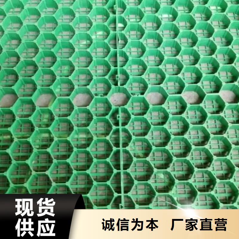 植草格-保溫土工布好貨直銷