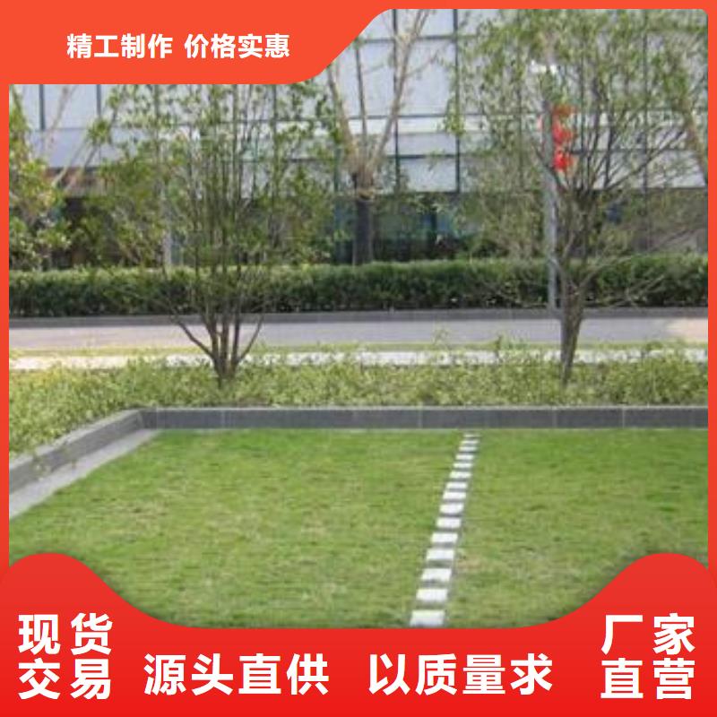 植草格-三維復合排水網服務至上