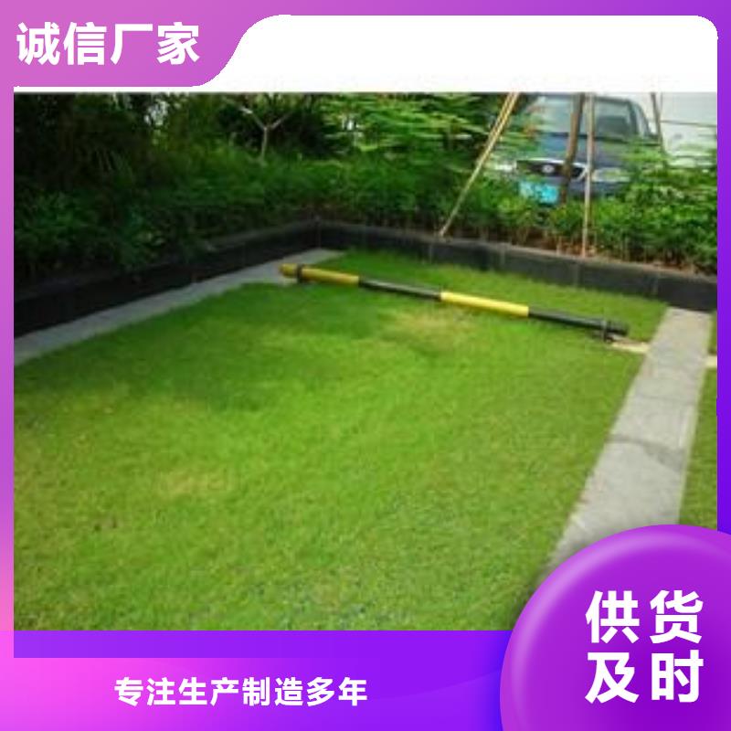 植草格土工濾網庫存充足