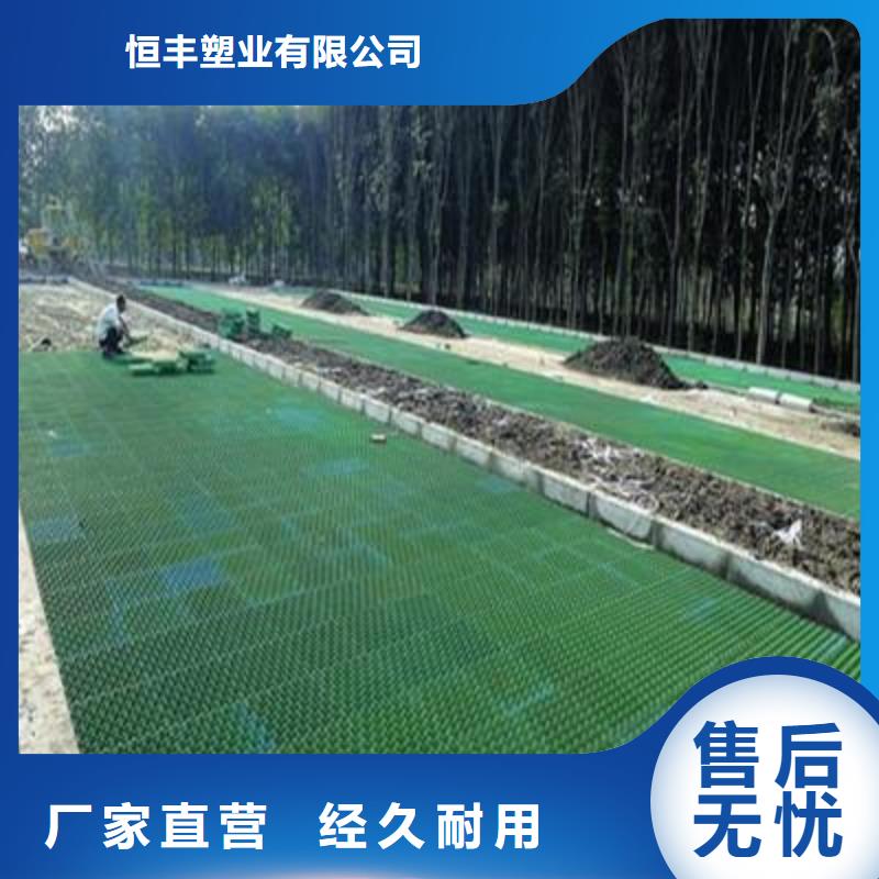 植草格PVC防水卷材通過檢測