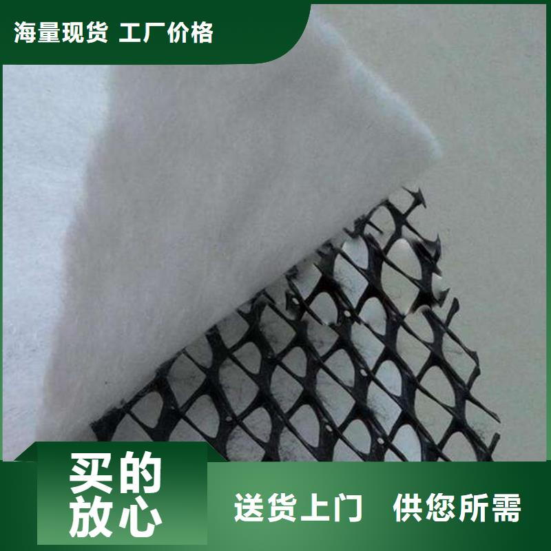 塑料排水網_三維土工排水板_排水網_三維排水網_三維復合排水網