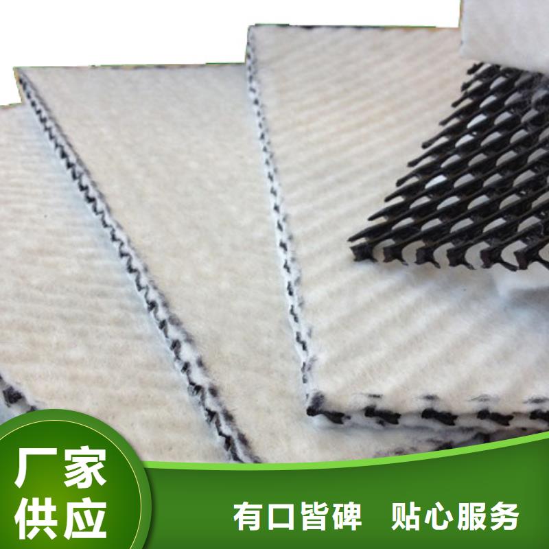 塑料排水網_三維土工排水板_排水網_三維排水網_三維復合排水網