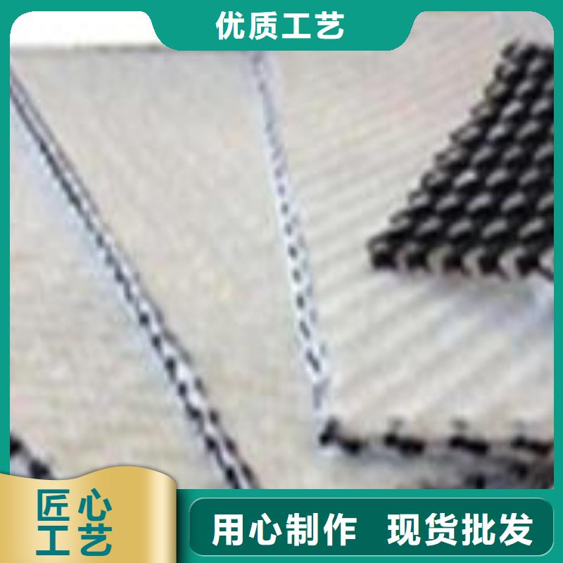 塑料排水網(wǎng)_三維土工排水板_排水網(wǎng)_三維排水網(wǎng)_三維復(fù)合排水網(wǎng)