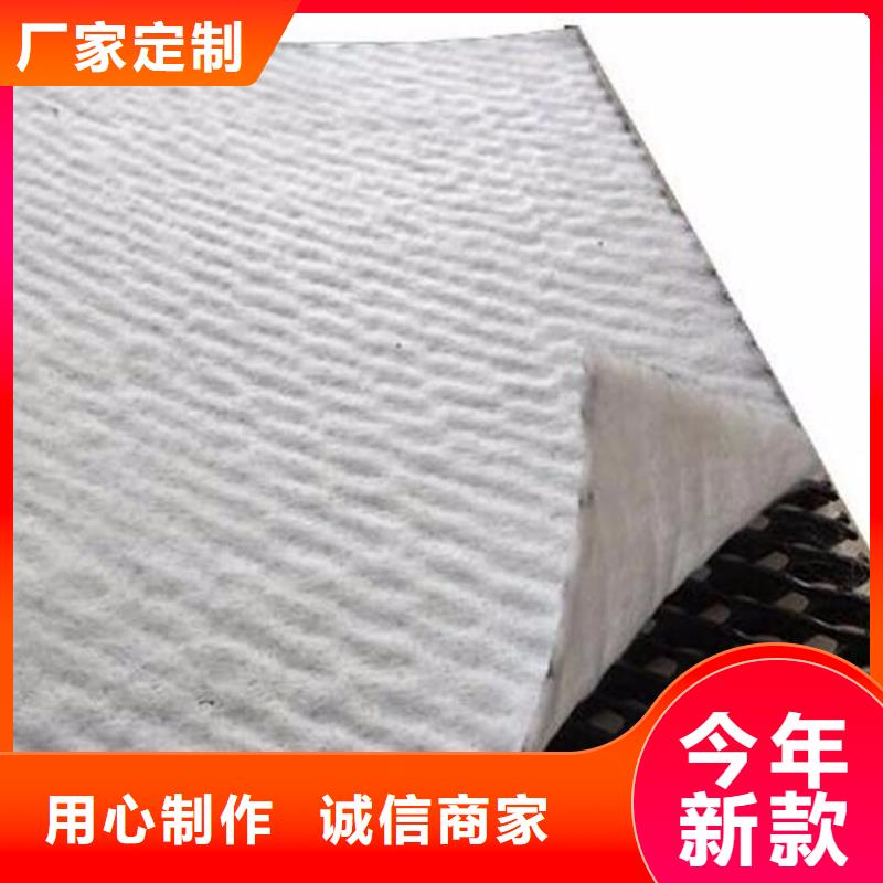 三維復合排水網土工排水網隧道排水網