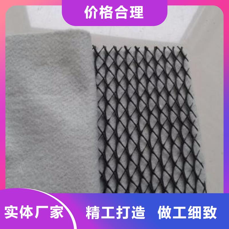 三維復合排水網土工排水網隧道排水網