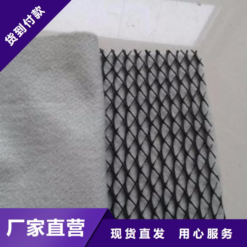 三維復(fù)合排水網(wǎng)_雙向拉伸塑料格柵精選貨源