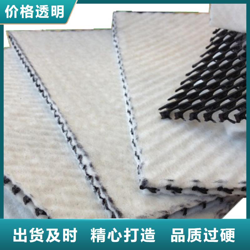 排水網(wǎng)_三維排水網(wǎng)_復(fù)合土工排水網(wǎng)價(jià)格_三維復(fù)合排水網(wǎng)