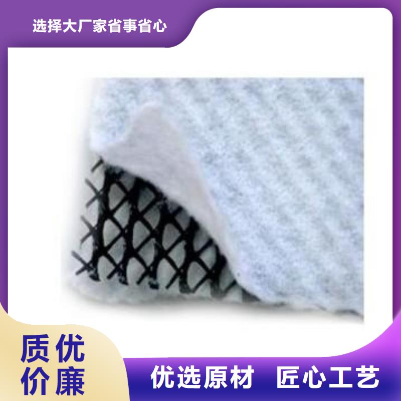排水網(wǎng)_三維排水網(wǎng)_復(fù)合土工排水網(wǎng)價(jià)格_三維復(fù)合排水網(wǎng)
