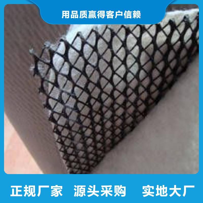 三維復合排水網毛細排水板高性價比